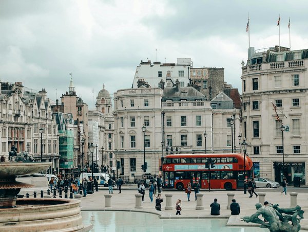 Quelles croisières offrent des ateliers de photographie de la faune en Antarctique?